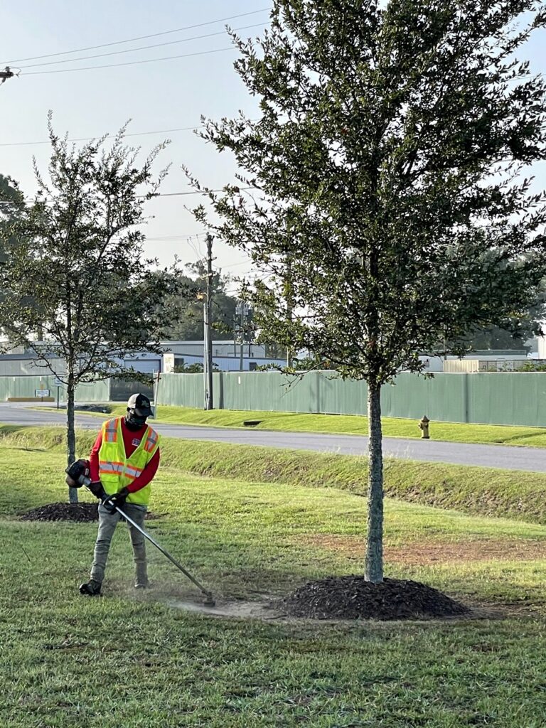 lawn care lafayette louisiana